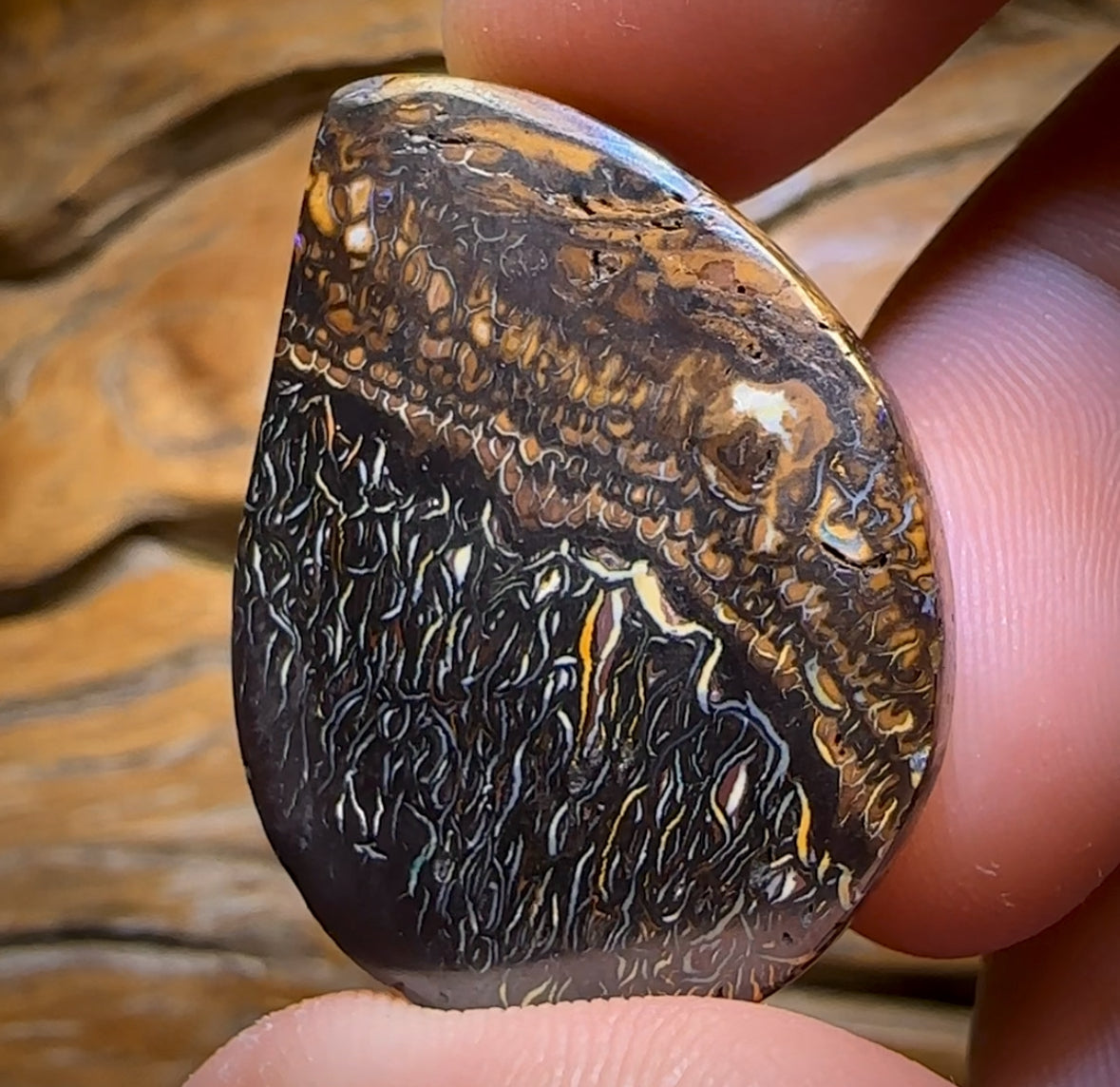72.2cts - “Black Forrest” Top Tribal Pattern Queensland Boulder Opal Picture Stone from Koroit