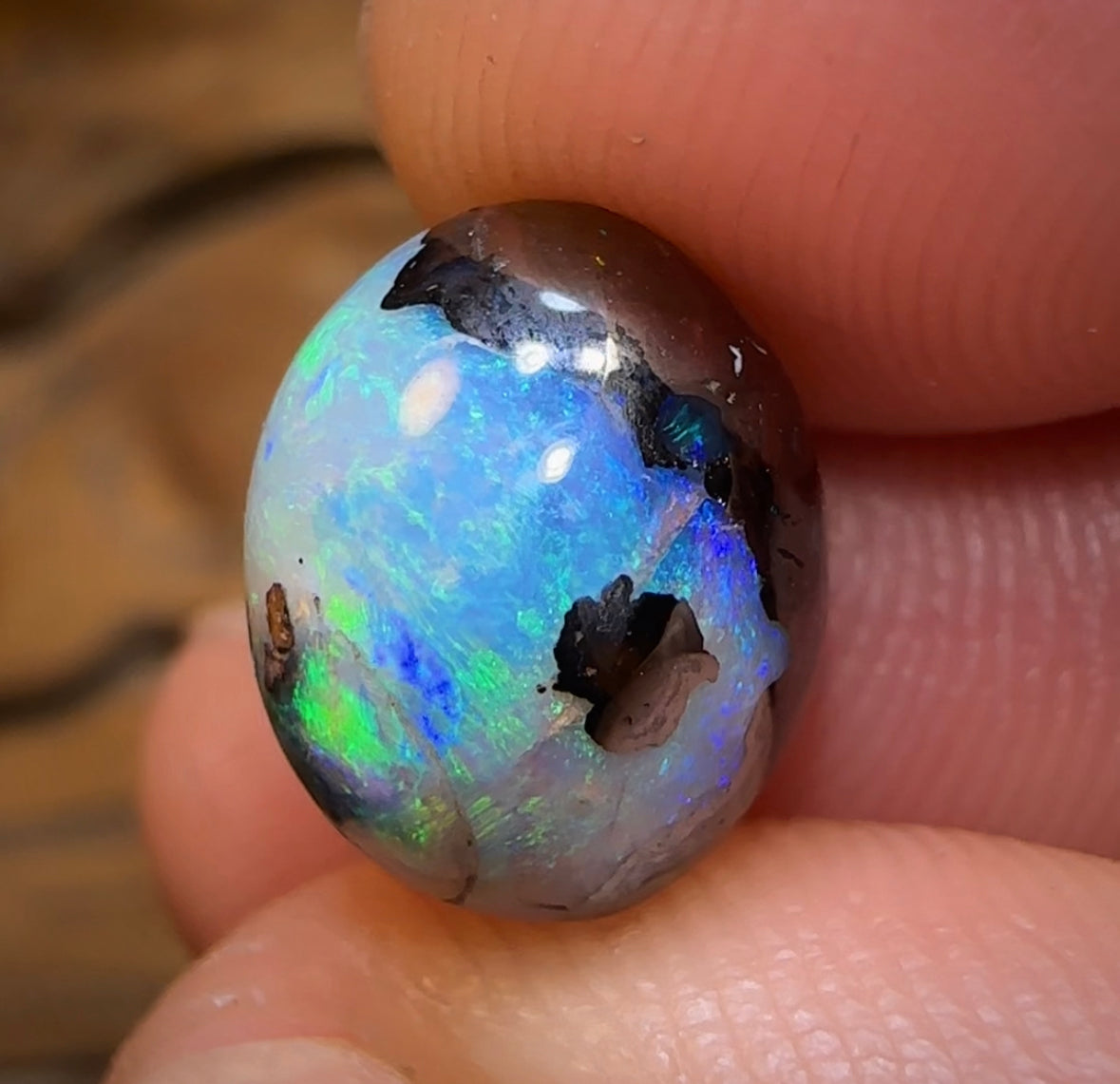 8.3cts - Yowah Nut Crystal Center Kernel Opal. Isaac “Magic Bean” Cut - Opal Whisperers