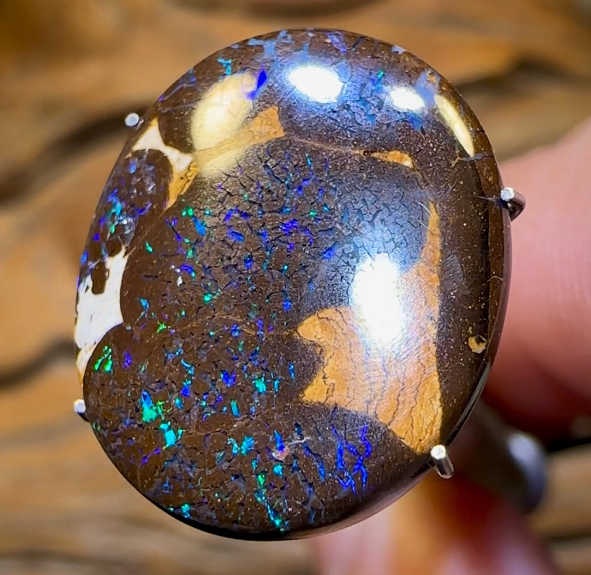 9.2cts - Bubble Band Opal from Winton, Top Oval Highly Polished Cut - Opal Whisperers