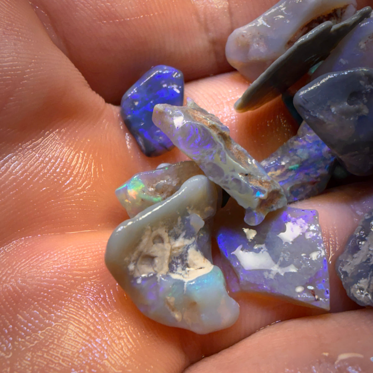 81.9cts - 21x Lightning Ridge Opal Rough Parcel