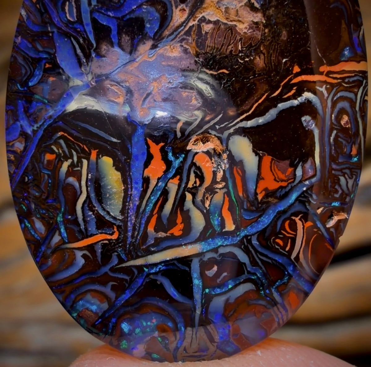56.5cts - Wow Banger TOP Tribal Australian Boulder Opal from Koroit