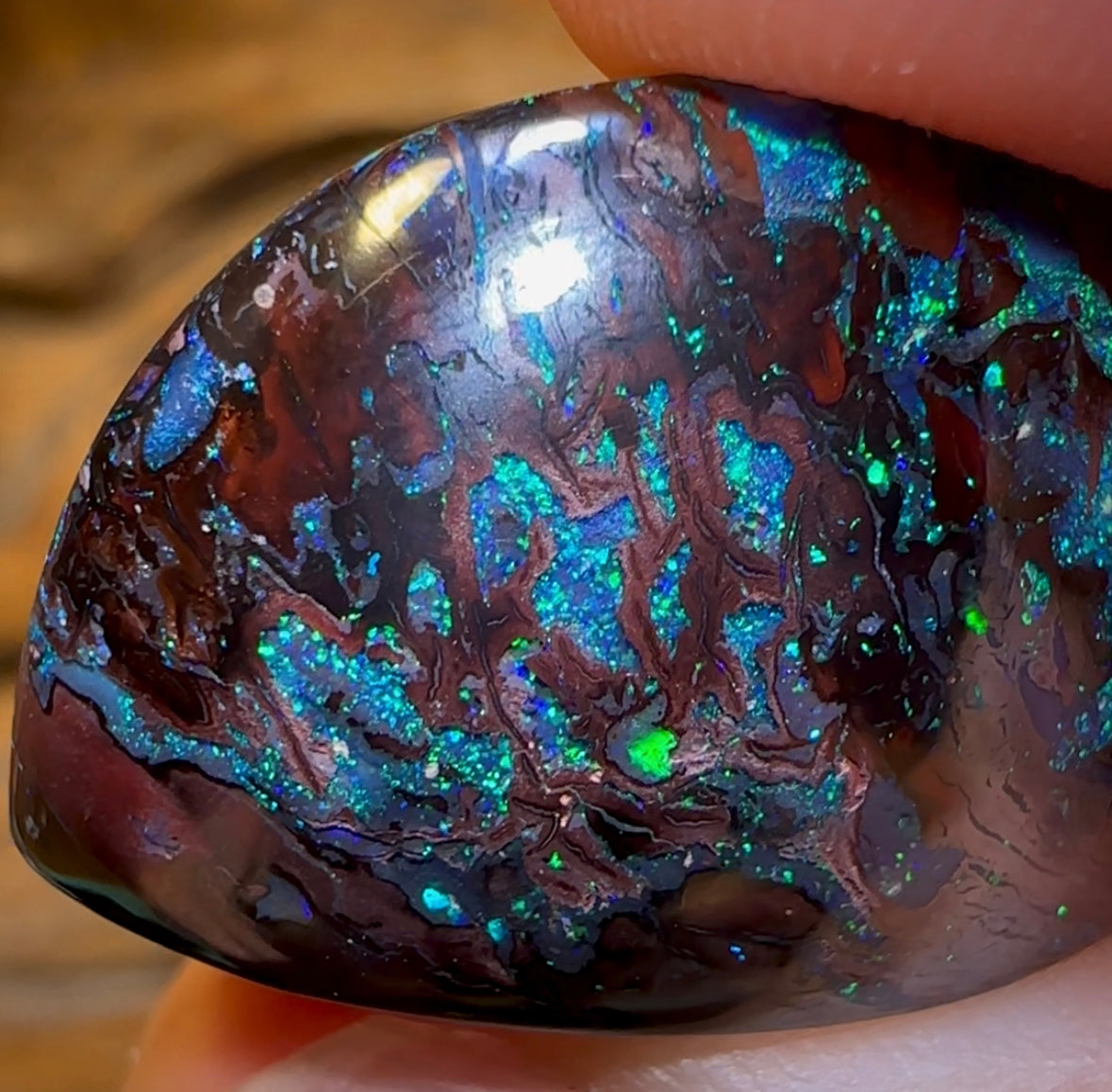 41.1cts - Tribal Koroit Nut Opal Specimen. Double Sided Rare Half Polished Nut - Opal Whisperers