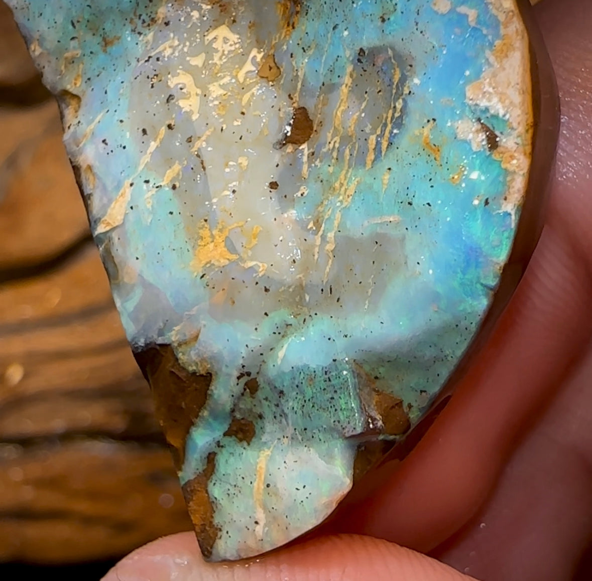 78.5cts - Australian Boulder Opal Rough Preform. Natural Split - Opal Whisperers