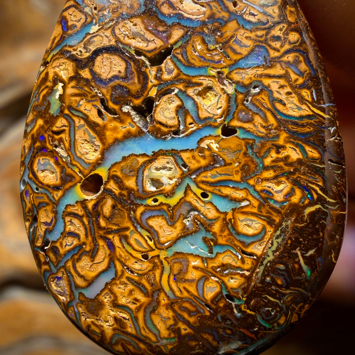 35 x 22mm - Drilled Tribal Queensland Boulder Opal Necklace