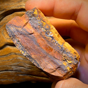 1033 Karat – Großer, polierter australischer Boulderopal im Stammesstil