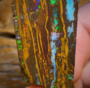 49.9cts - Queensland Boulder Opal Preform Rub