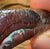 71.6cts - “Croc Jaw” Tribal Queensland Boulder Opal Picture Stone - Opal Whisperers