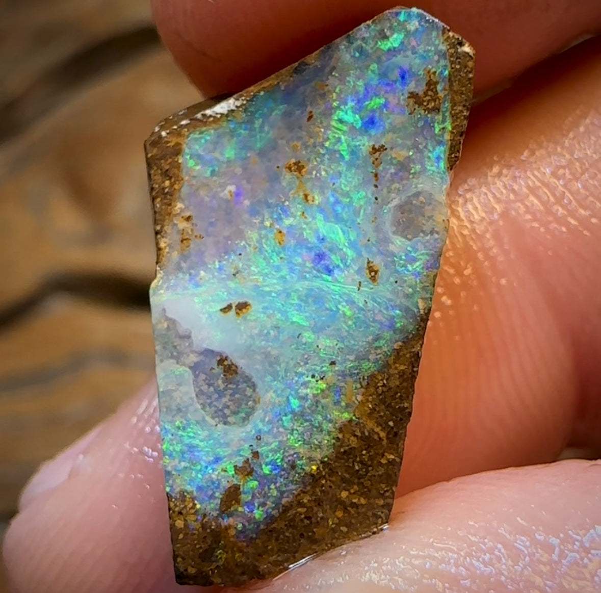 14.1cts - Queensland Boulder Seam Opal Rub