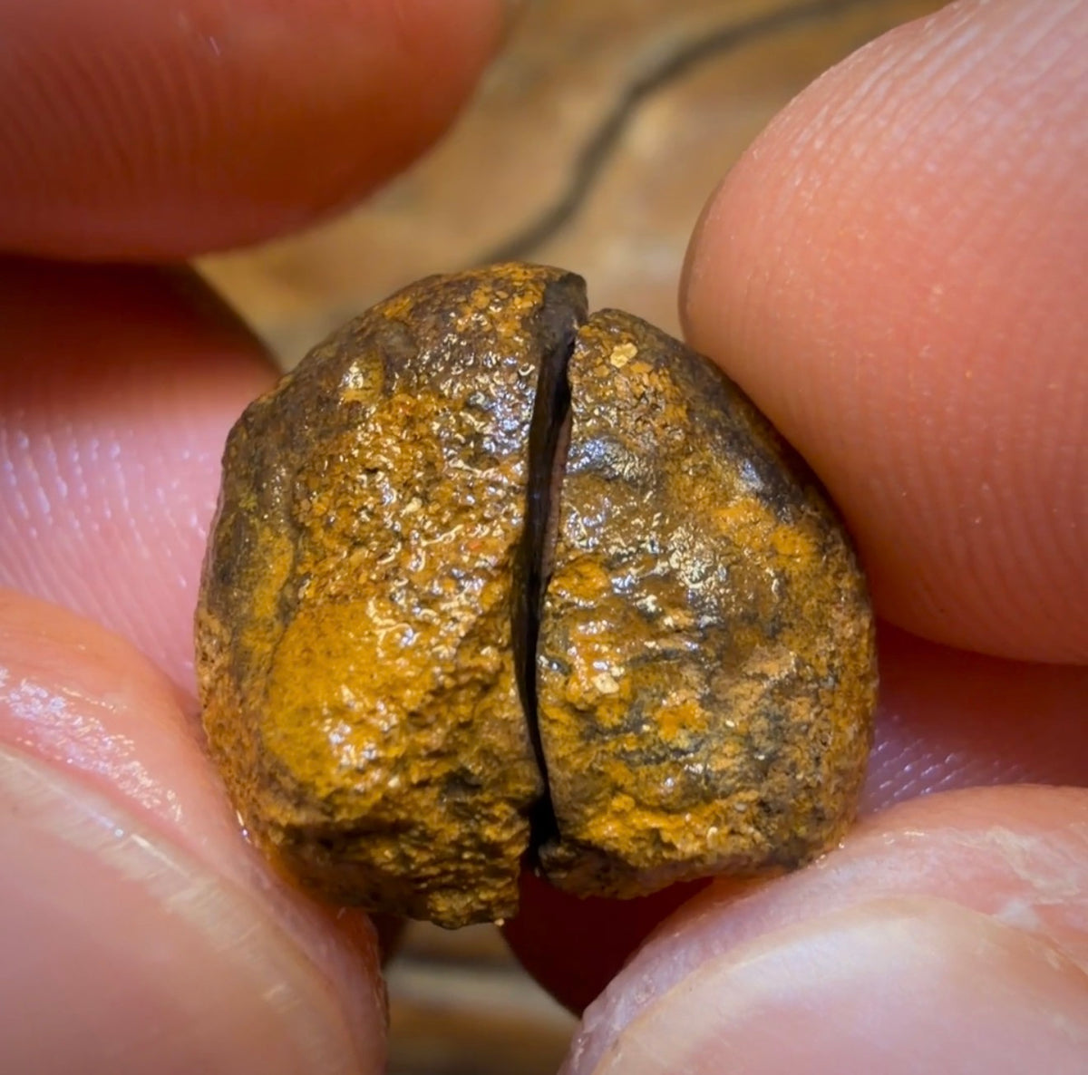 16.8cts - Yowah Jojo Nut Crystal Centre Rough Pair