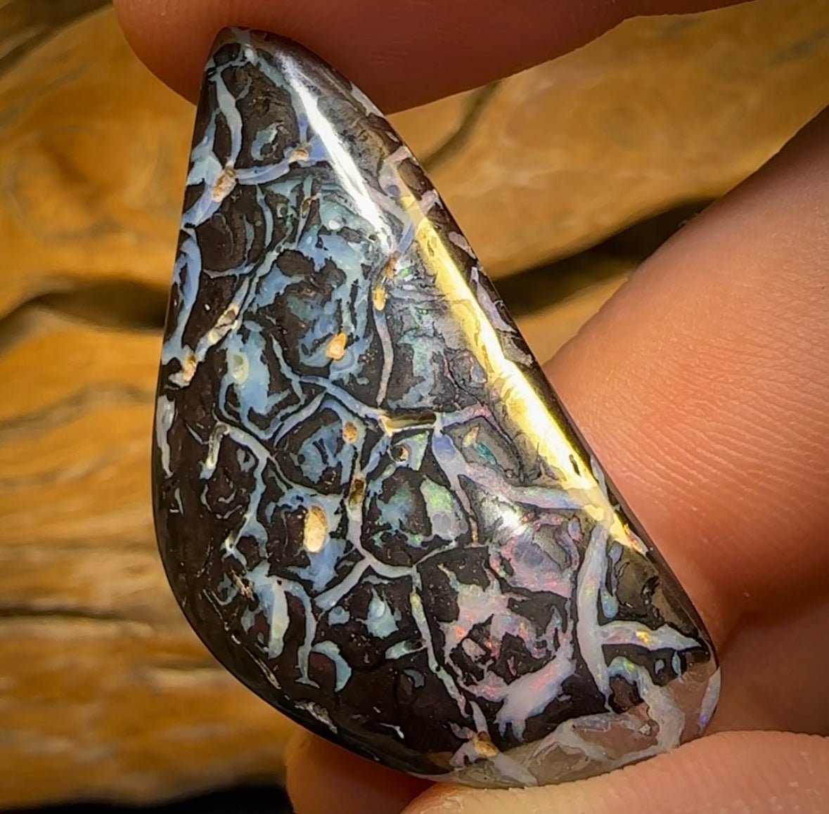 71.4cts - Rare Tribal Black Boulder Opal from Koroit