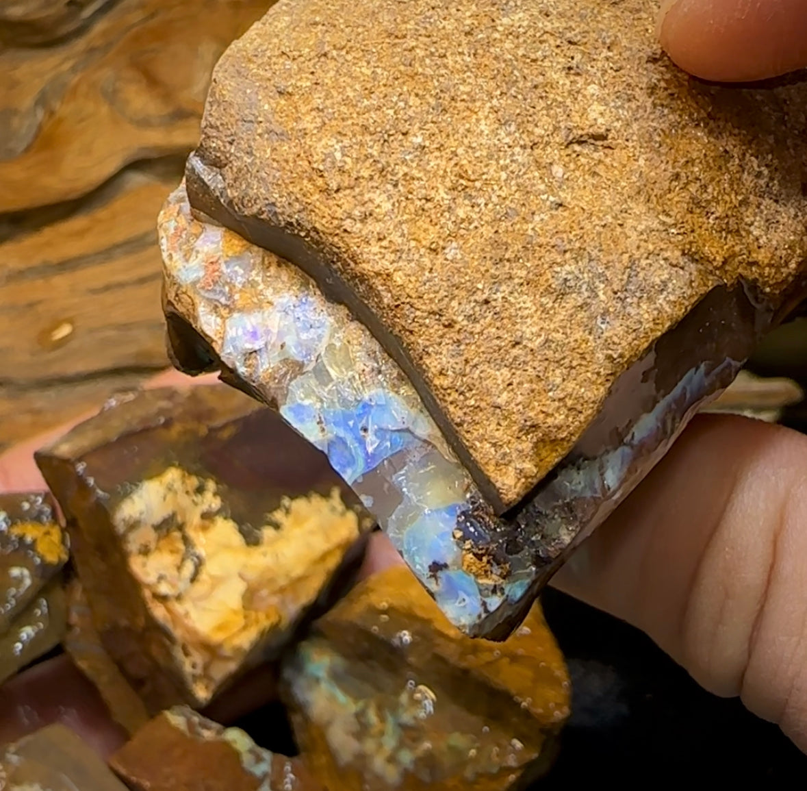 524g - Queensland Boulder Opal Rough - Opal Whisperers