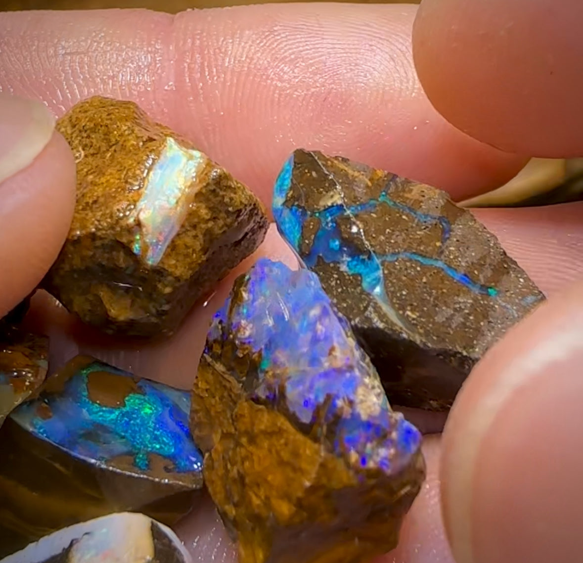 122.5cts - 10x Mixed Queensland Boulder Opal Rough Parcel