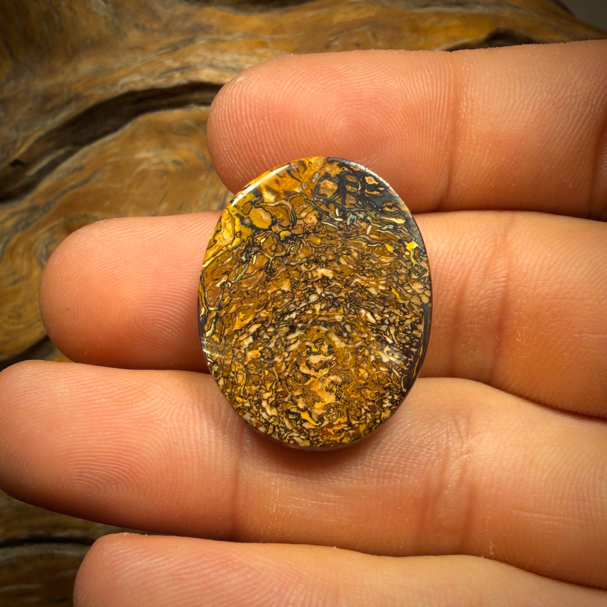 29.7cts - Tribal Queensland Boulder Opal from Yowah