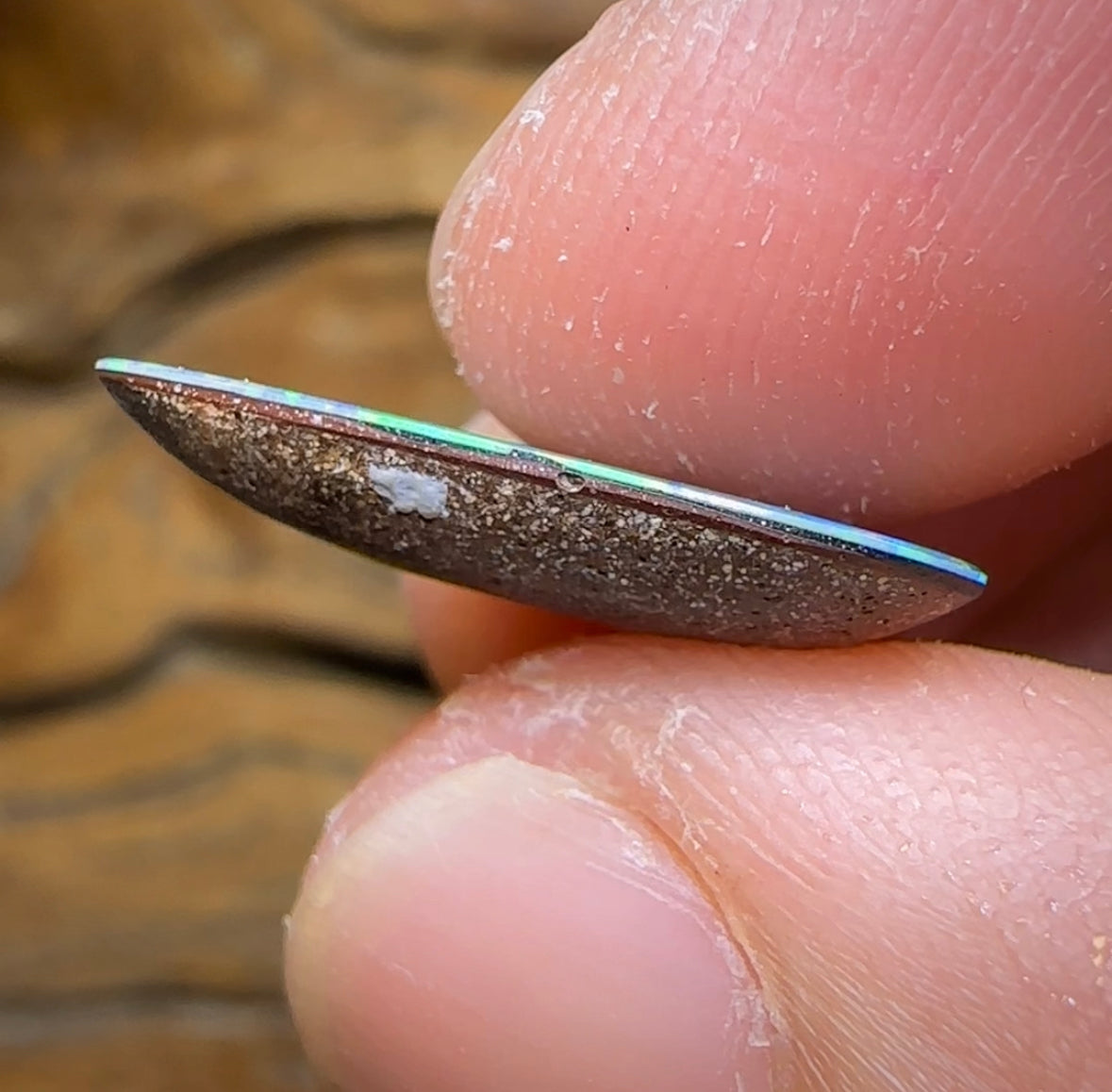 6.1cts - Largest Australian Boulder Opal Doublet Heritage Collection - Opal Whisperers