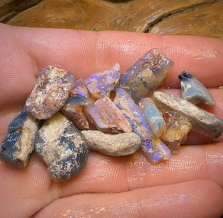 67,8 cts - 15 spécimens géologiques fossiles opalisés de Lightning Ridge