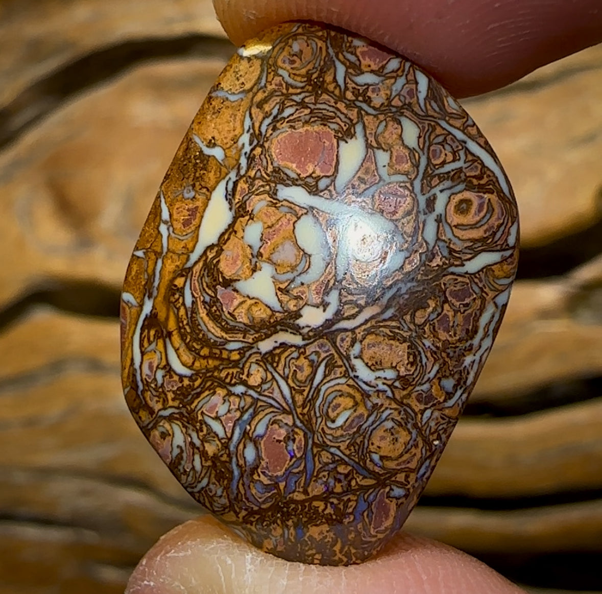 Auction Fall-Through = Your Gain! 🔥 Now More Than 50% Off RRP 🚨 22.8cts - Yowah Nut Tribal Opal Picture Stone