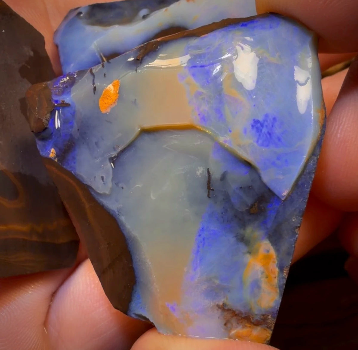 🔒 I’ve Got the Blues Collection 391.6cts - 3x Australian Boulder Seam Opal Rough Parcel