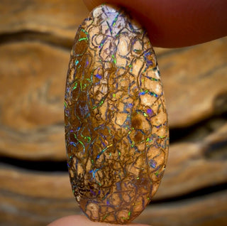 🔨 AUCTION 🔨 10.8cts - Tan Tribal Australian Boulder Opal from Yowah