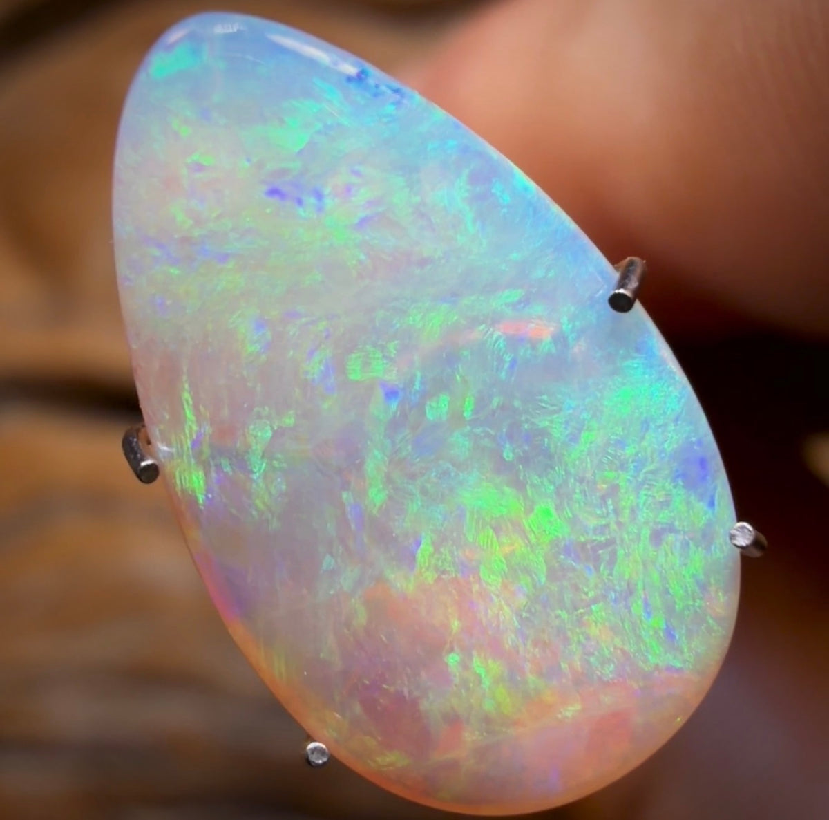 2.8cts - Lightning Ridge Crystal Opal