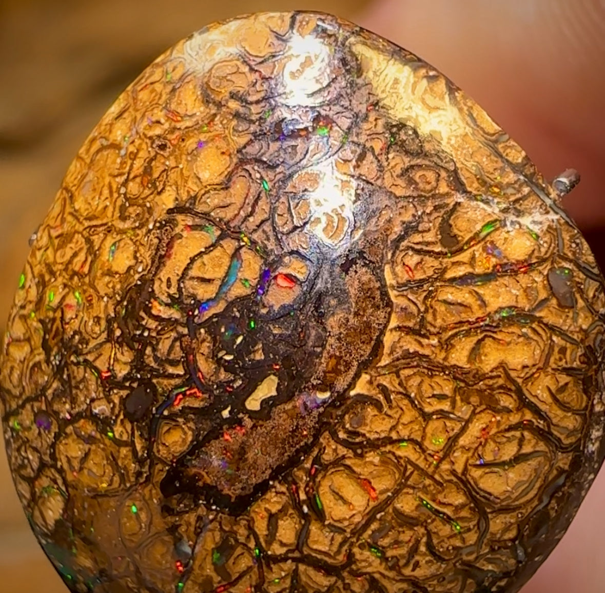 12.3cts - Tan Tribal Yowah Nut Opal. Multicolours!