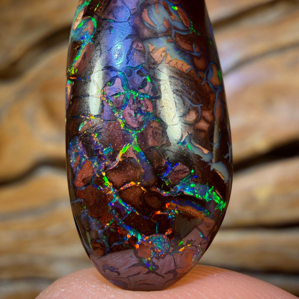 21.2cts - Tribal Queensland Boulder Opal from Yowah