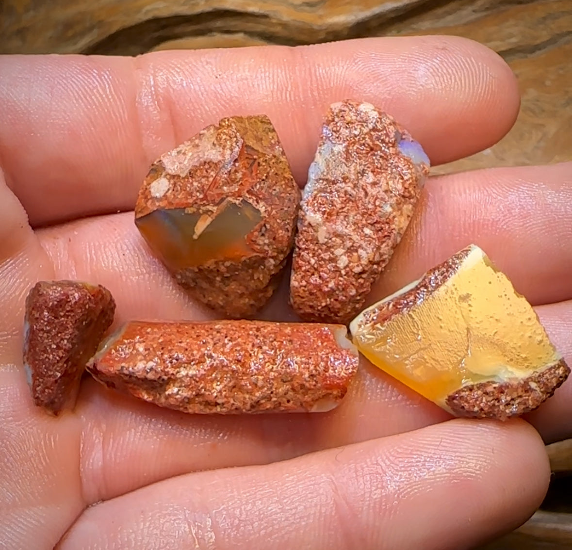 68.2cts - 5x Queensland Boulder Pipe Opal Rough Parcel