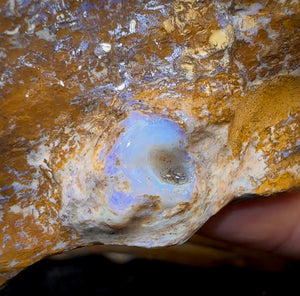 611.2cts - “Opal Dagger”Australian Boulder Wood Fossil Opal Rough Piece. Carvers Delight