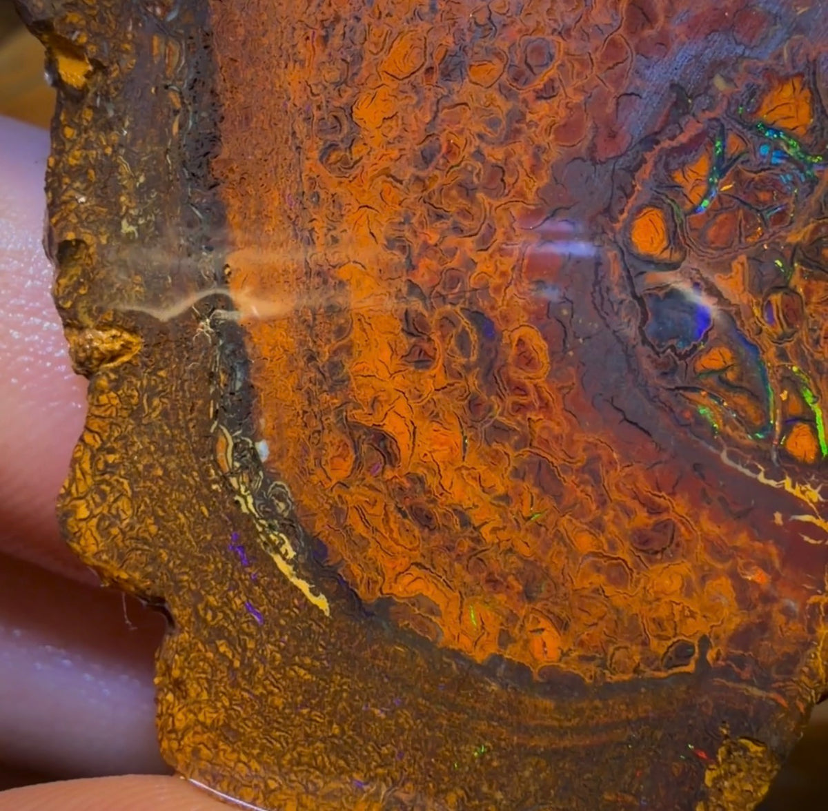Wildcard! 169.2cts - Tribal Yowah Nut Opal Rough Pair. Australian Opal