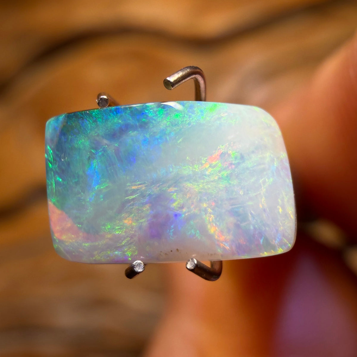 Wildcard! 1.6cts - Australian Boulder Seam Opal from Winton