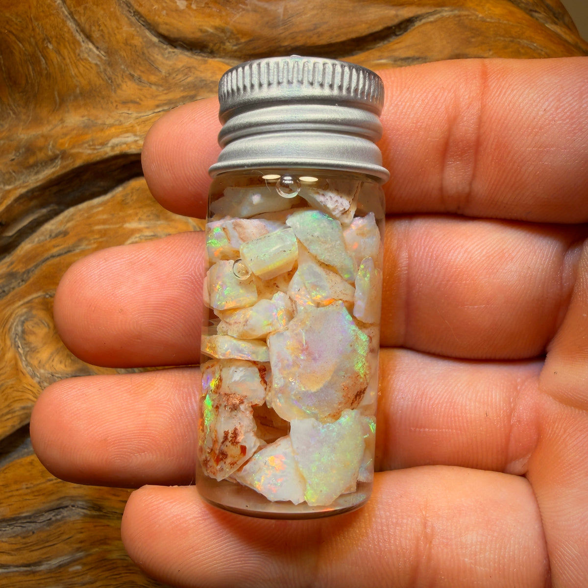 60.5cts - Vial of Shell Fossil Opal from South Australia