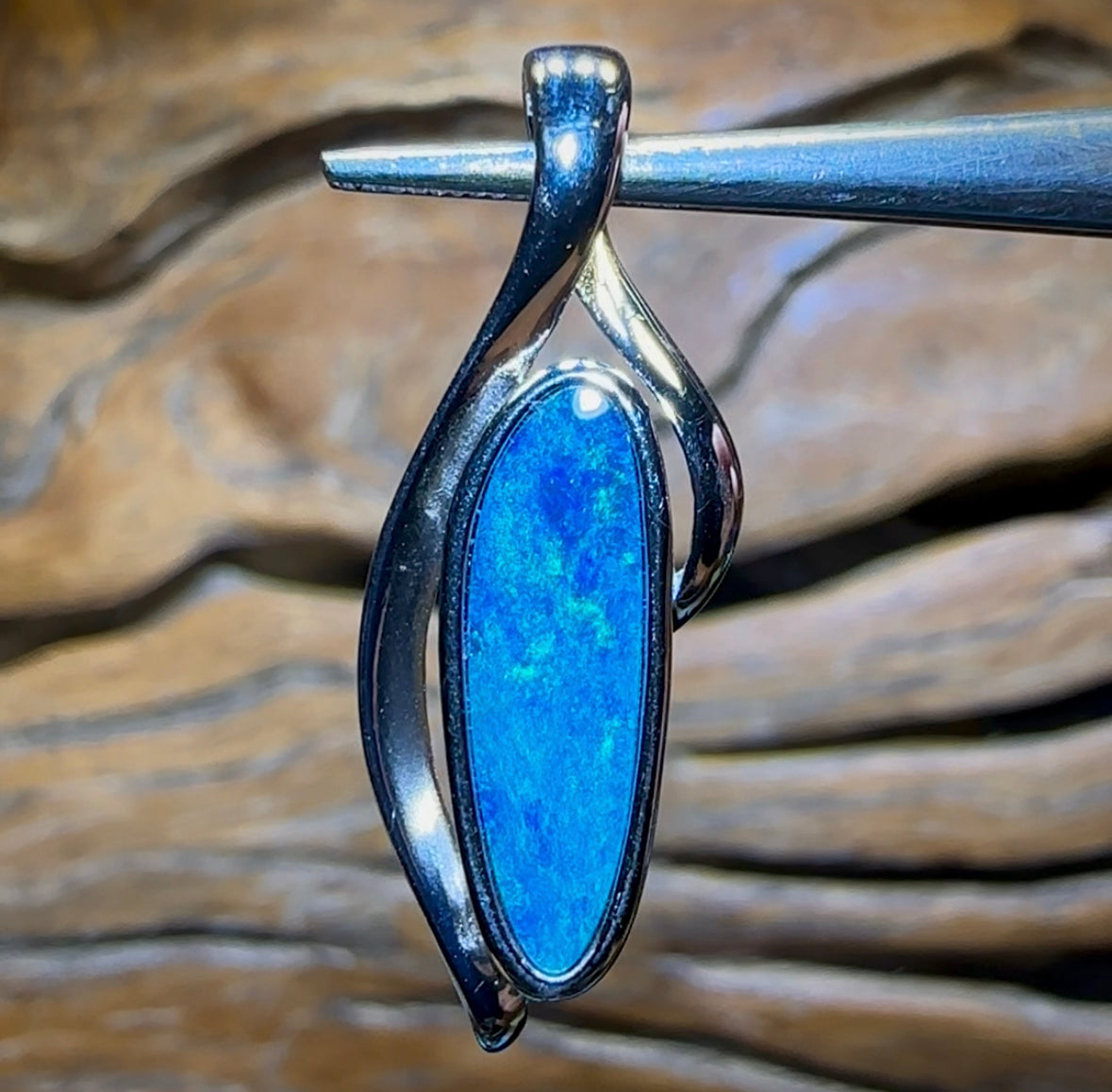 Opal Whisperers Voice Or Full Assessment Certification - Opal Whisperers