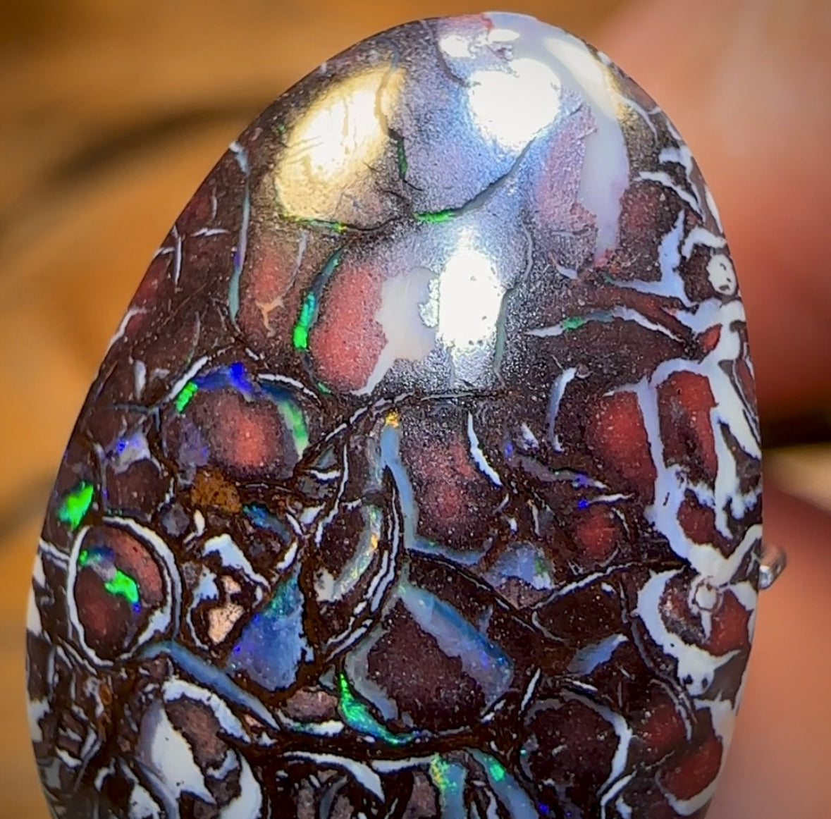 13.7cts - Top Tribal Black Boulder Opal Picture Stone from Koroit