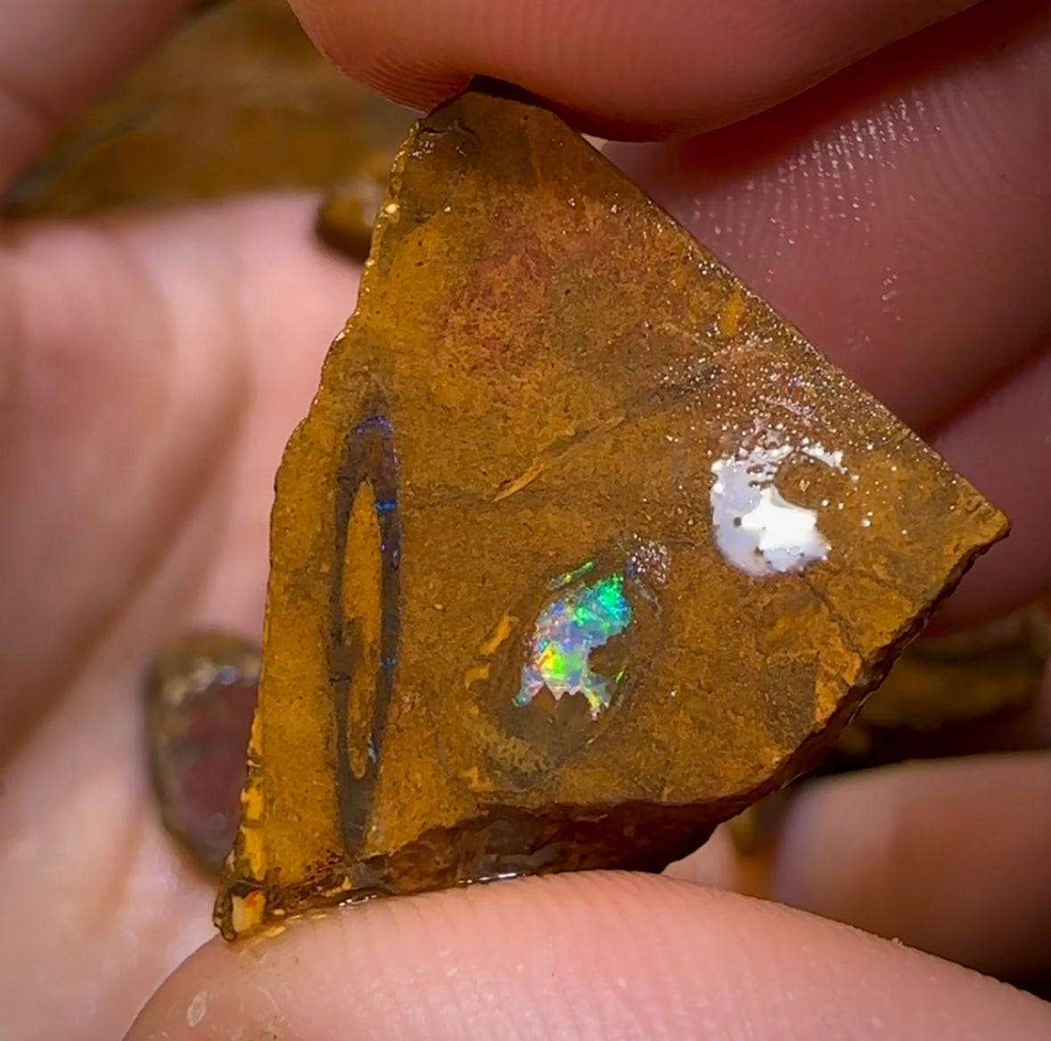 436.8cts - 12x Yowah Opal Rough Pieces. Australian Boulder Opal - Opal Whisperers