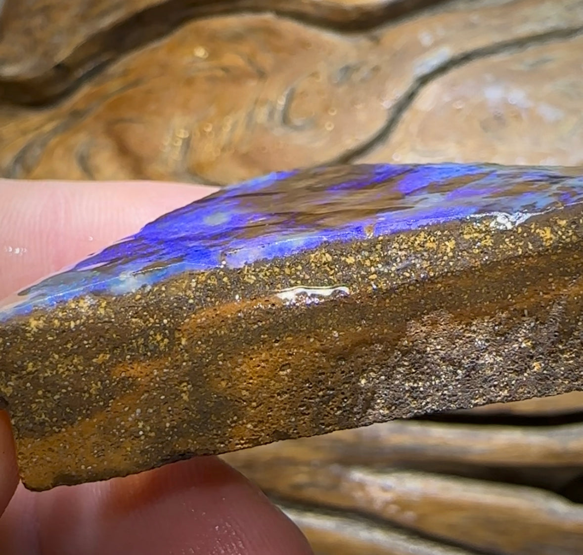 211.9cts - Queensland Boulder Opal Rough Rub Preform - Opal Whisperers