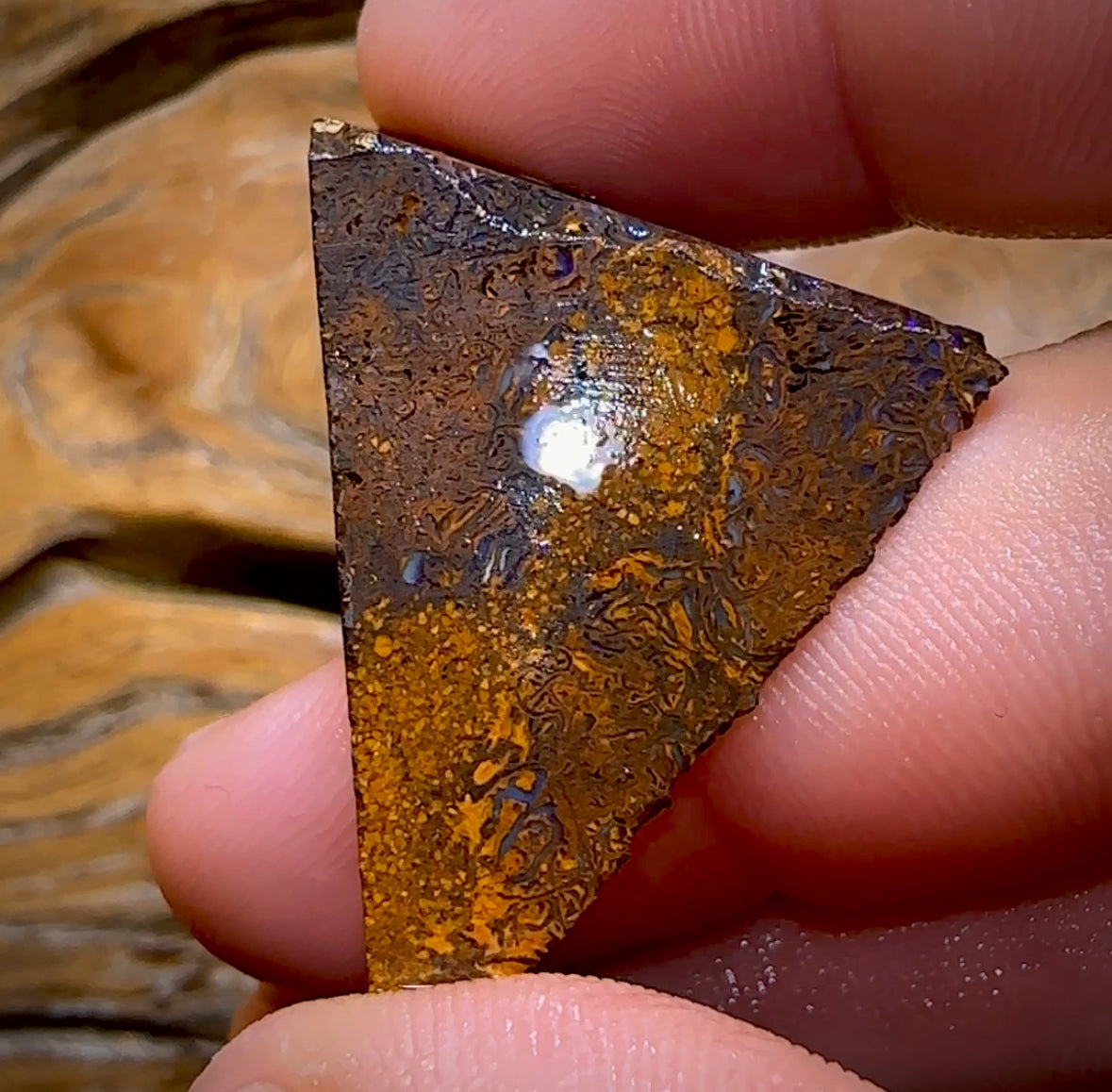 55,1 ct – Rohstück aus einem Boulderopal der Stammesbevölkerung von Queensland