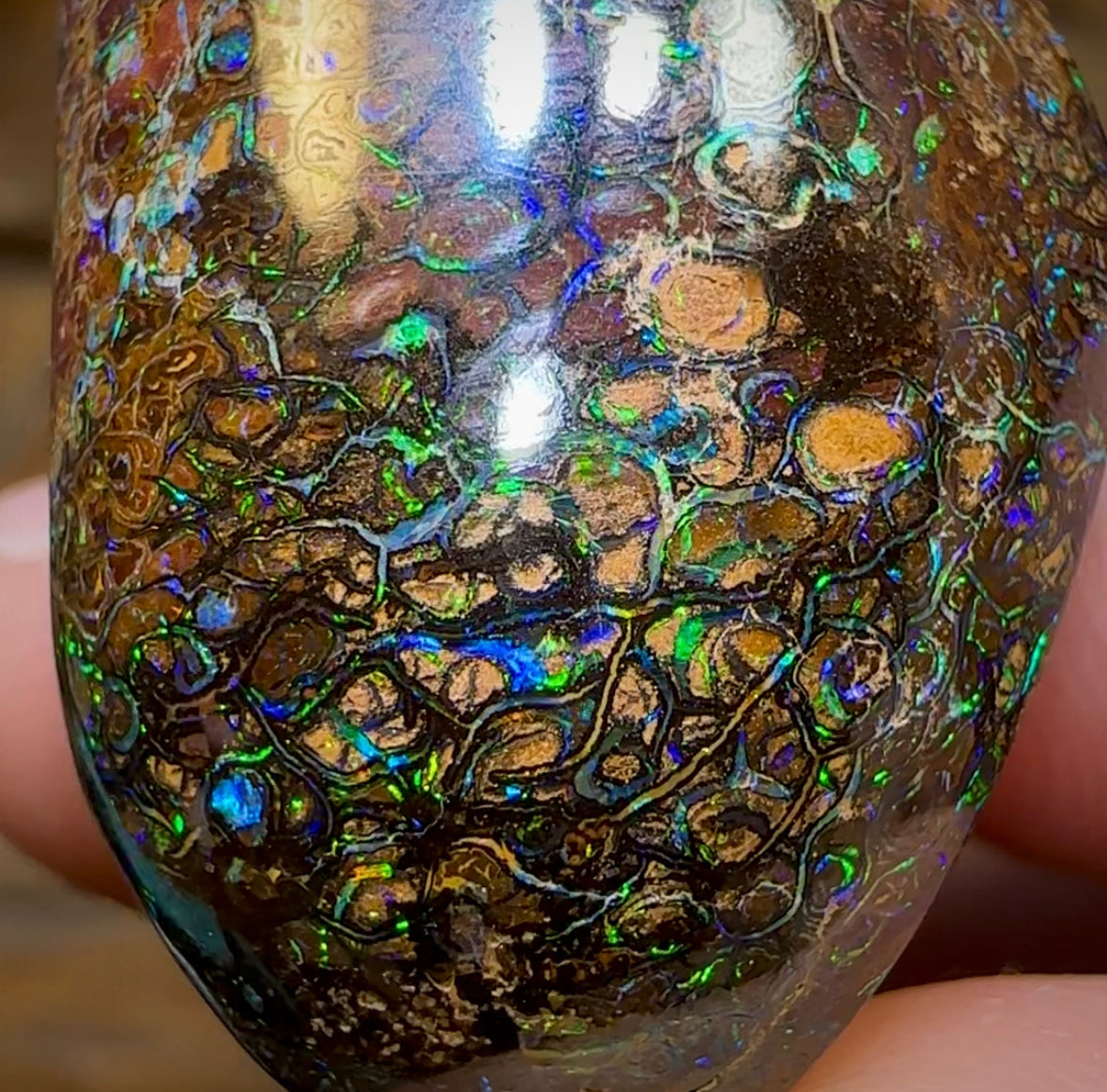 66.4cts - Yowah Nut Tribal. Australian Boulder Opal - Opal Whisperers