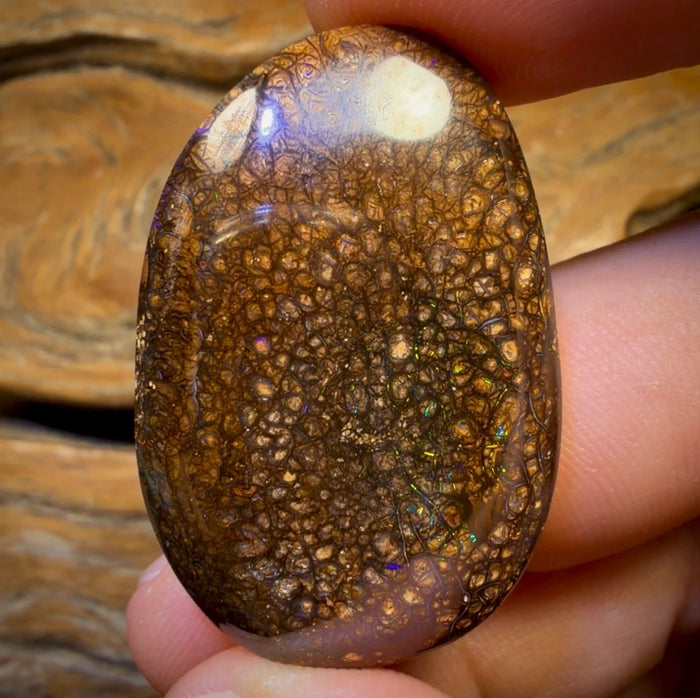 🔨 AUCTION 🔨 78.5cts - Tribal Australian Boulder Opal from Yowah