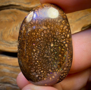 Wildcard! 78.5cts - Tribal Australian Boulder Opal from Yowah