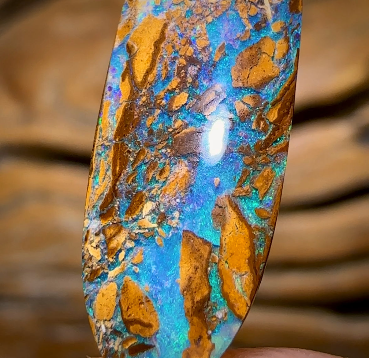 Auction Fall-Through = Your Gain! - Now More Than 50% Off RRP - 5.8cts - Australian Boulder Opal Fossil Wood Replacement Yowah. Double Sided!