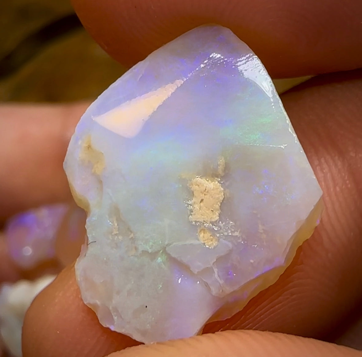 (Template) 55.7cts - 7x Lightning Ridge Crystal Opal Rough - Opal Whisperers
