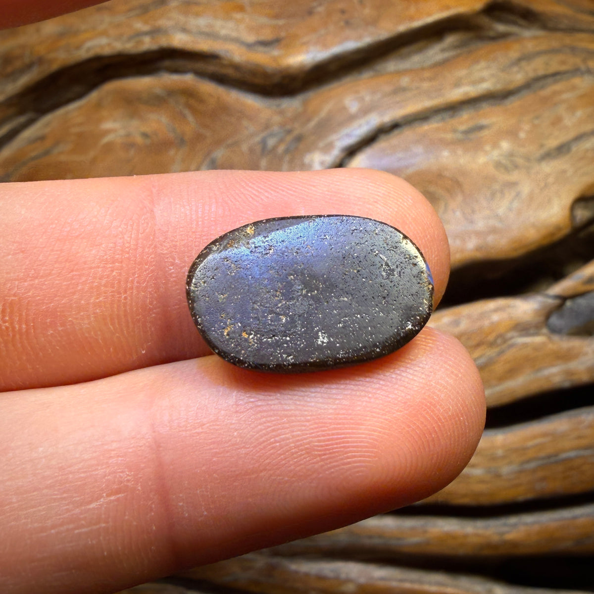 🔨 AUCTION 🔨 No Reserve 9.3cts - Queensland Boulder Seam Opal. Australian Opal