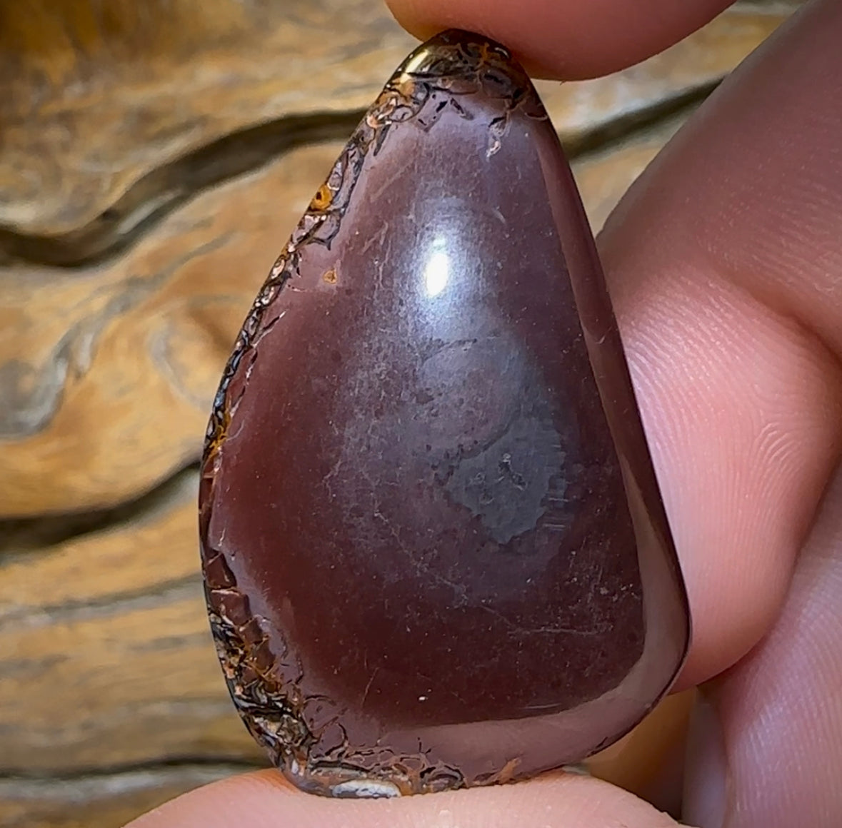 79.2cts - Top Tribal Koroit Black Nut Opal - Opal Whisperers