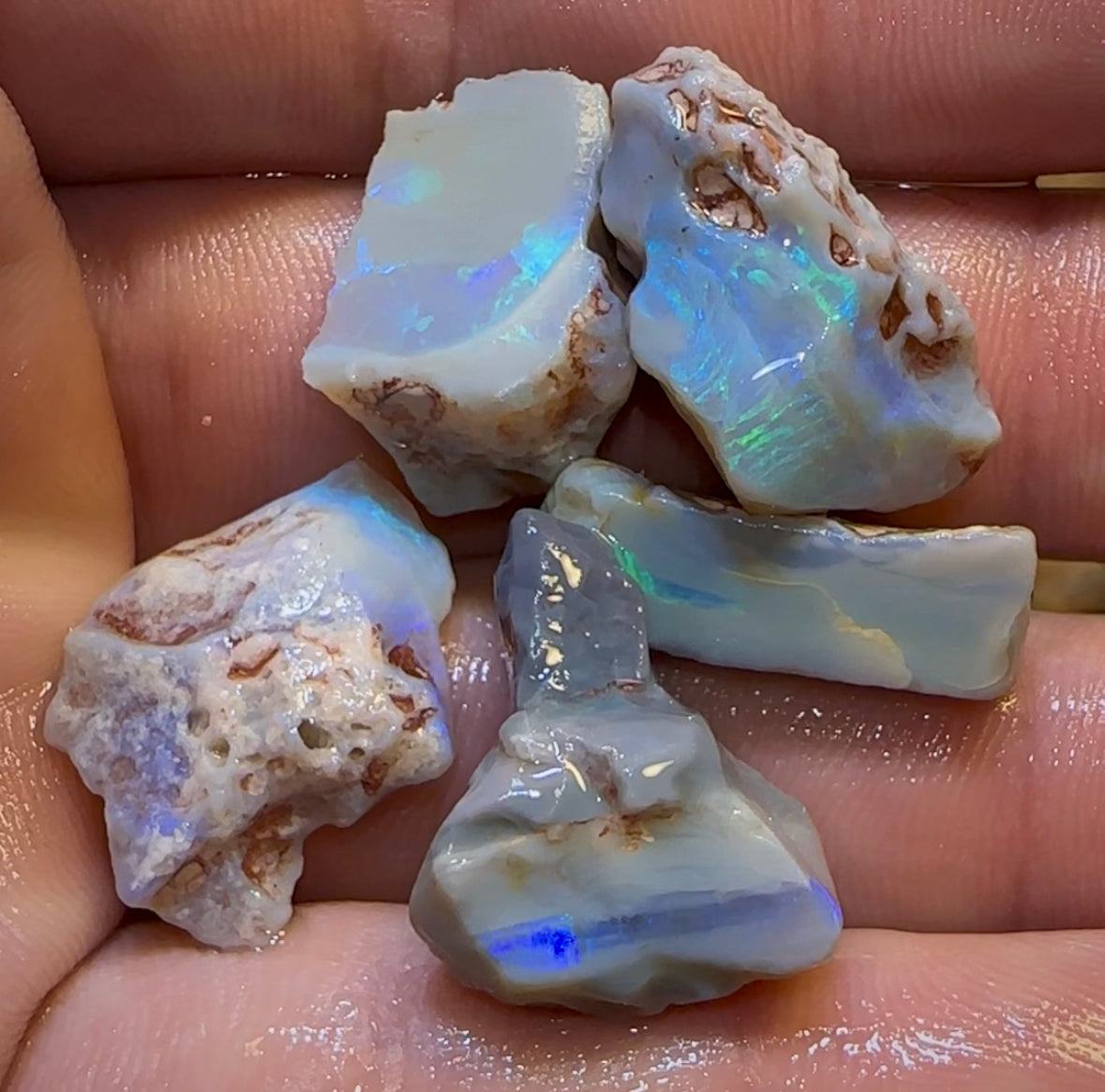 71.3cts - 5x Lightning Ridge Dark Opal Rough Parcel - Opal Whisperers