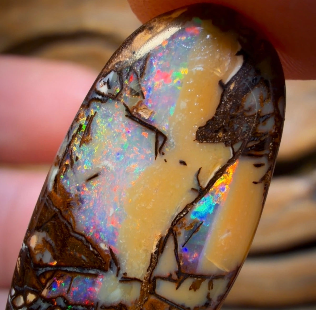 33.1cts - Cathedral AKA Stained Glass Window Australian Boulder Wood Fossil Opal Pair