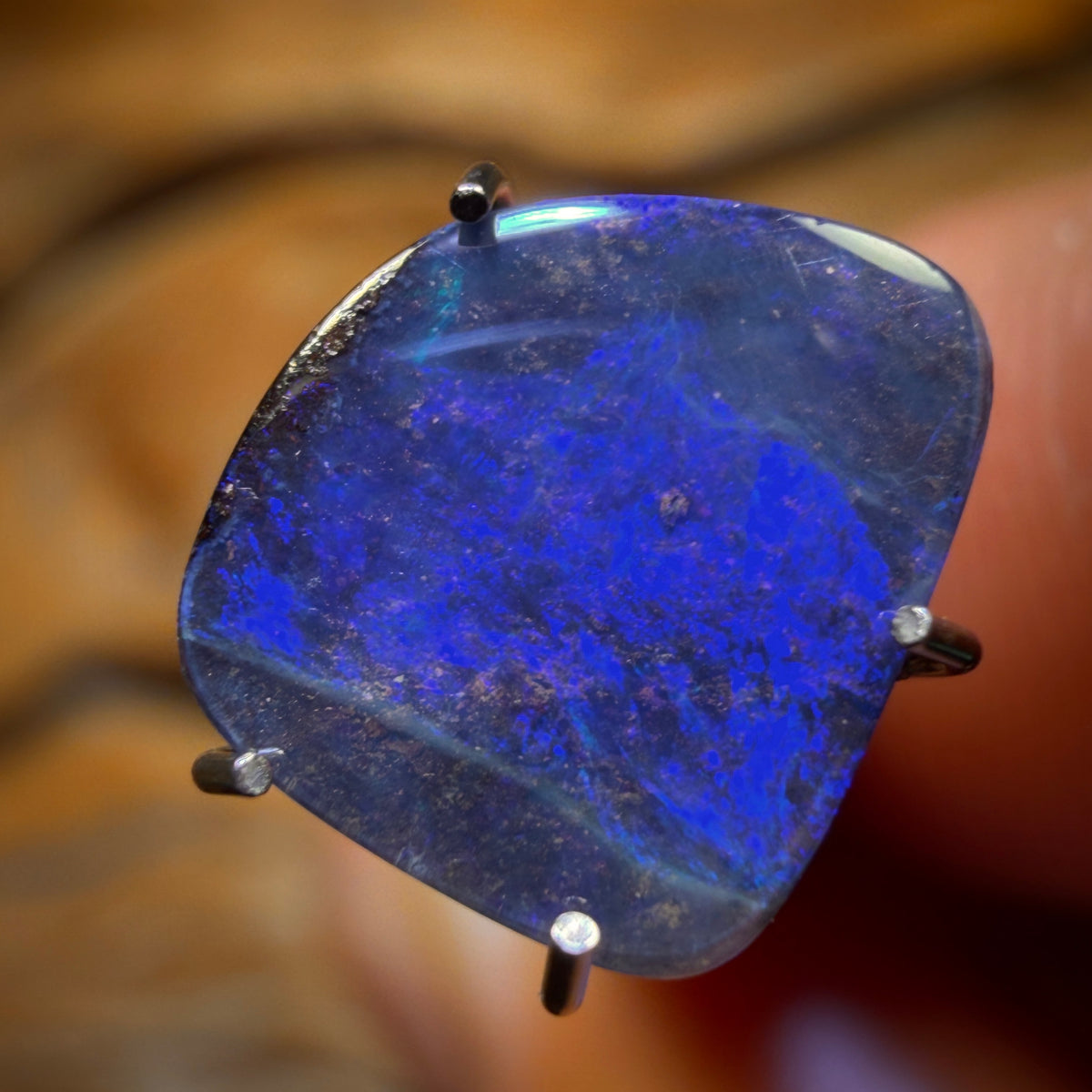 Bargain Card! 1.5cts - Australian Boulder Seam Opal
