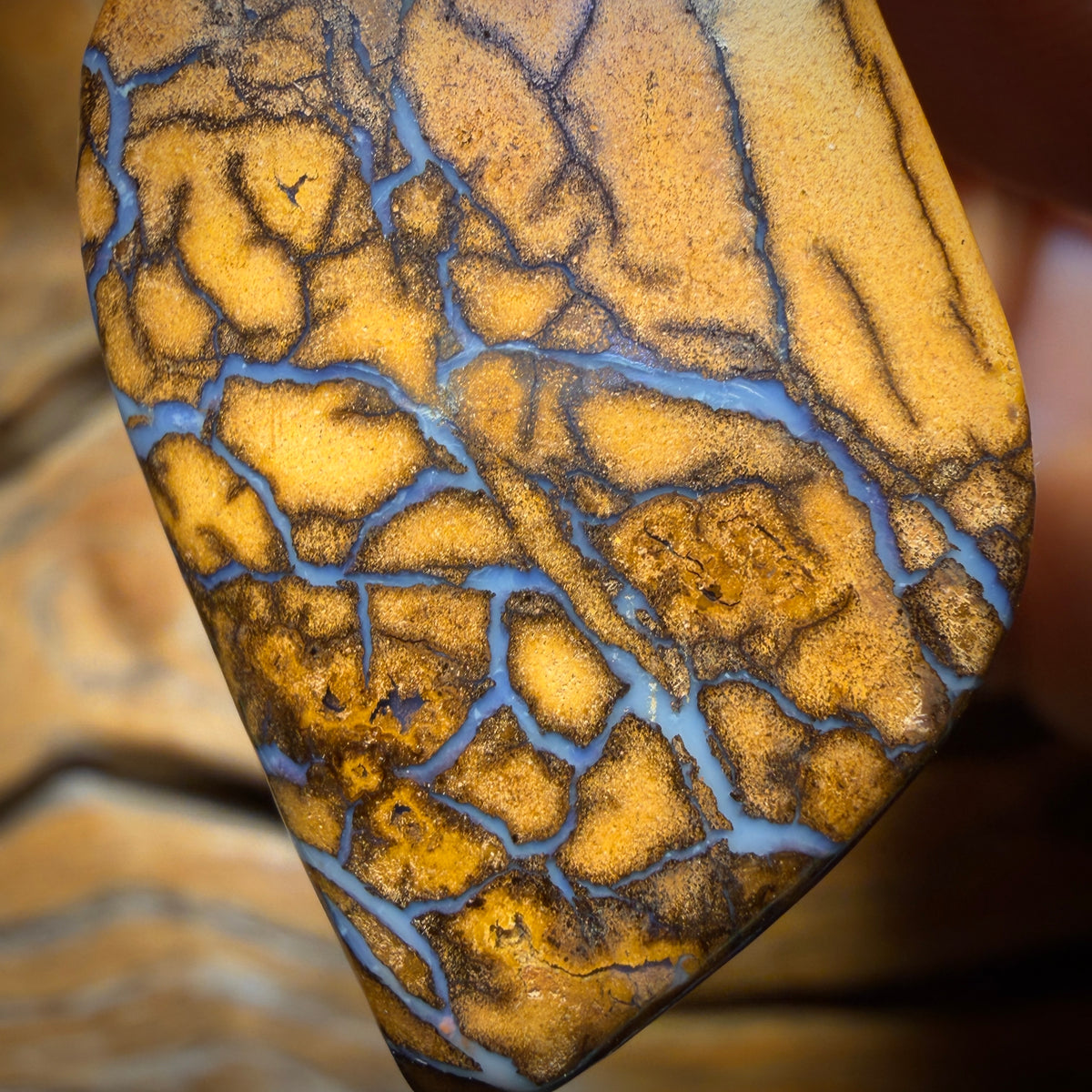 Wild Card! 42 x 22mm - Drilled Tribal Queensland Boulder Opal Necklace