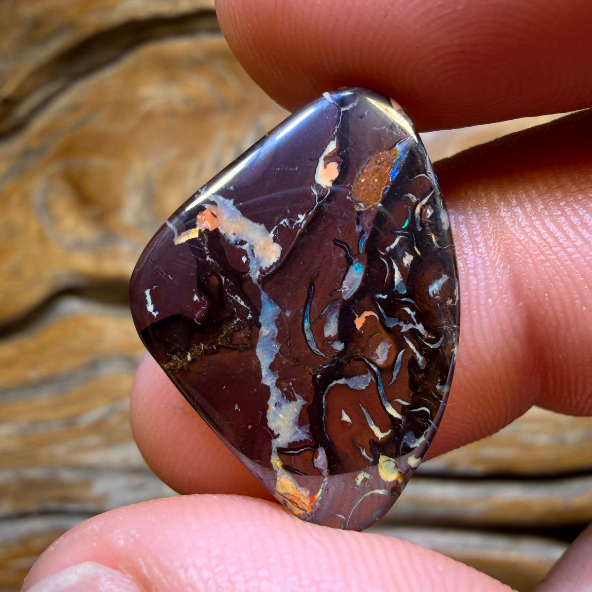TGIF 18.2cts - Tribal Yowah Nut Opal Picture Stone Bargain. Australian Opal
