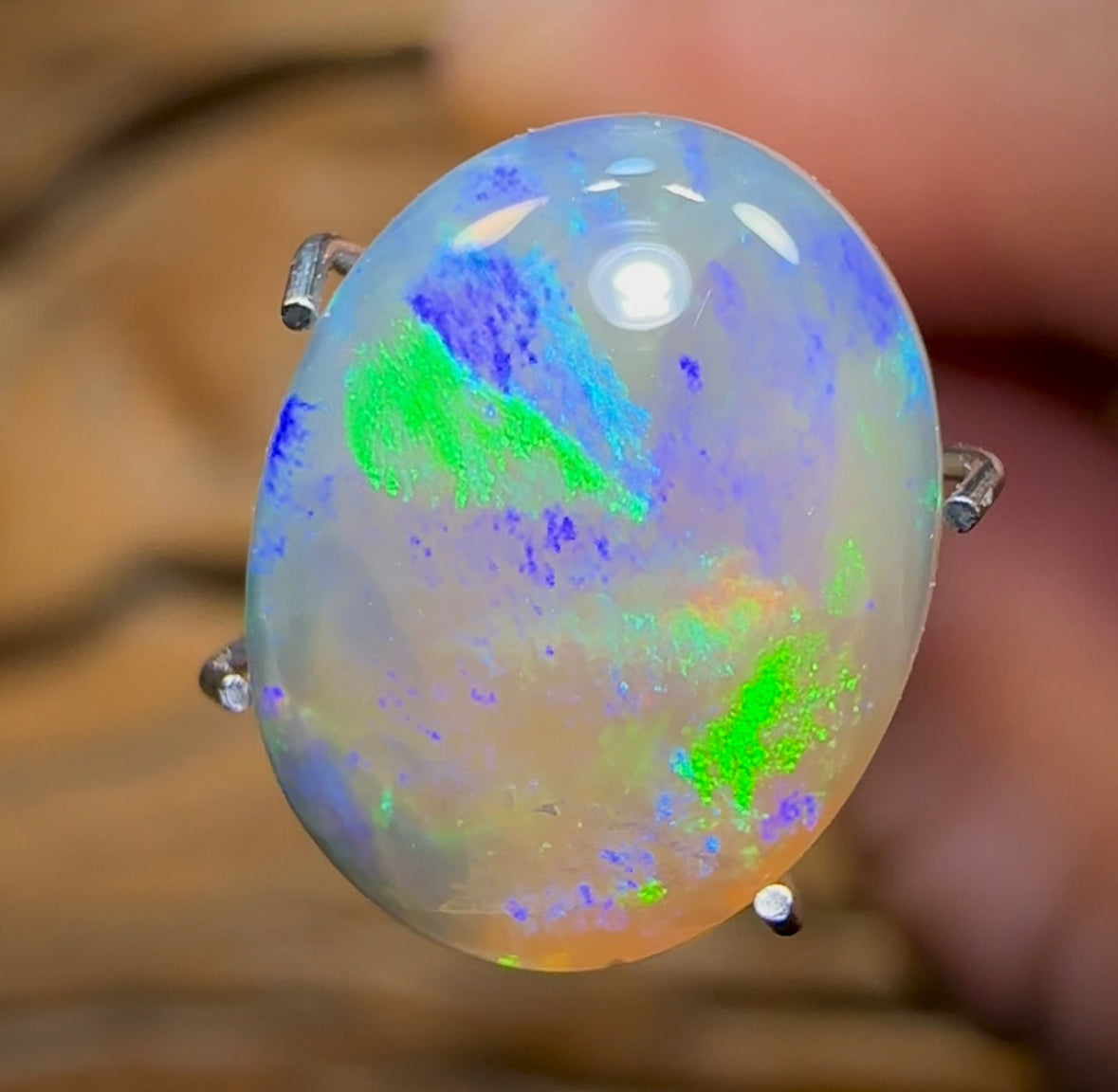 3.1cts - Lightning Ridge Crystal Opal - Opal Whisperers