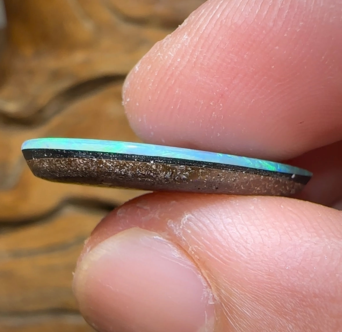 12.8cts - Largest Australian Boulder Opal Doublet Heritage Collection - Opal Whisperers