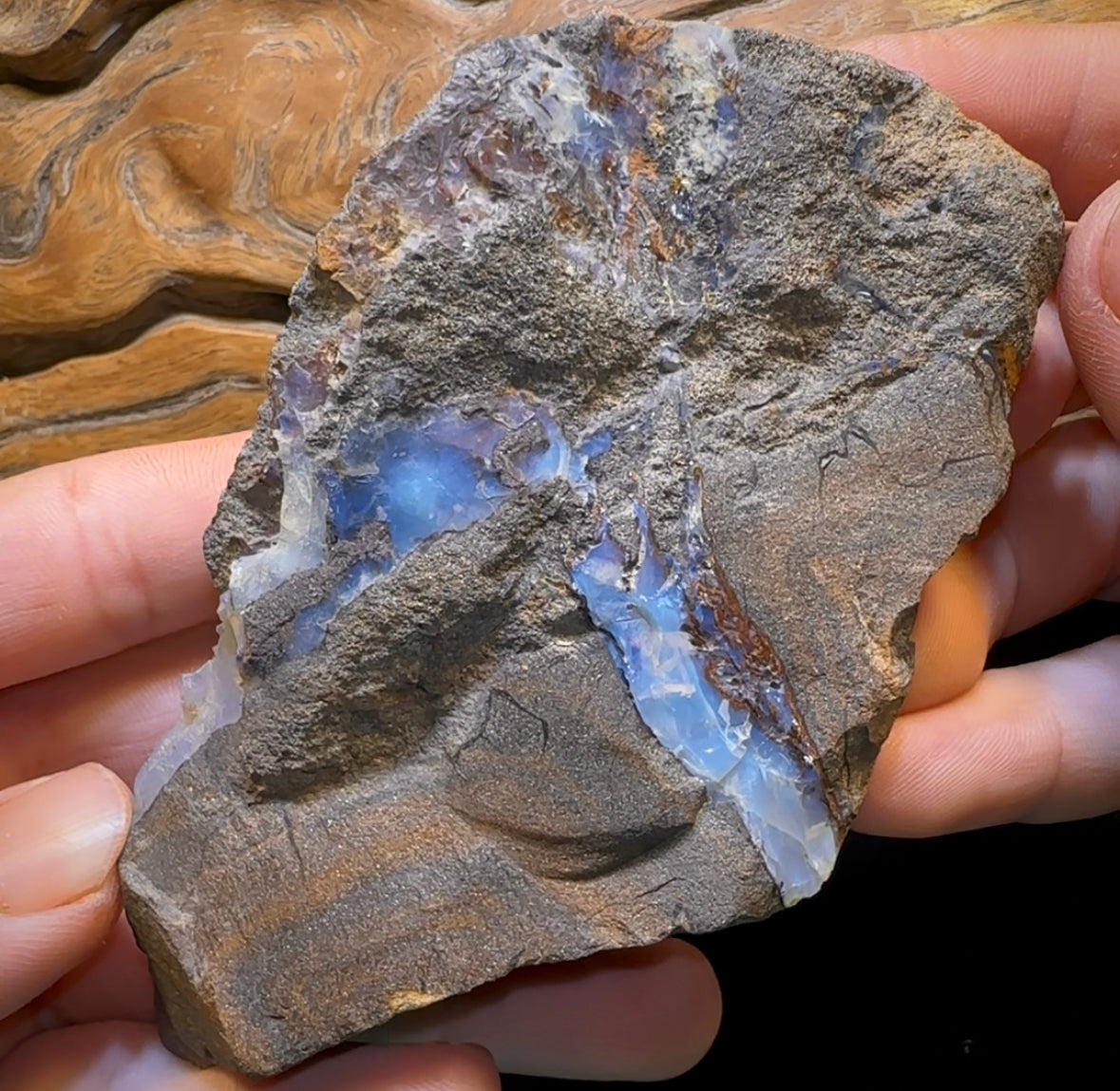 356.3g - Queensland Boulder Seam Opal Rough Specimen - Opal Whisperers